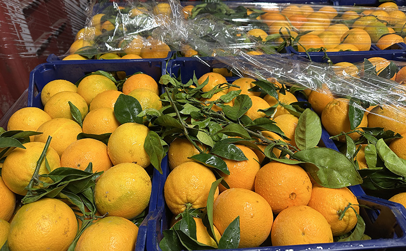 Arance Navel - Sicilia - 1,20/1,30 euro al chilogrammo